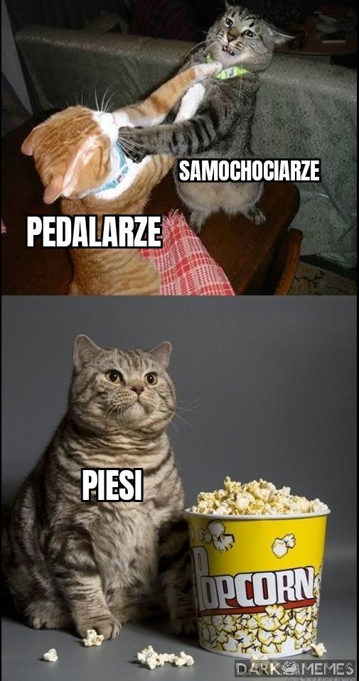 Test czy to jeszcze działa