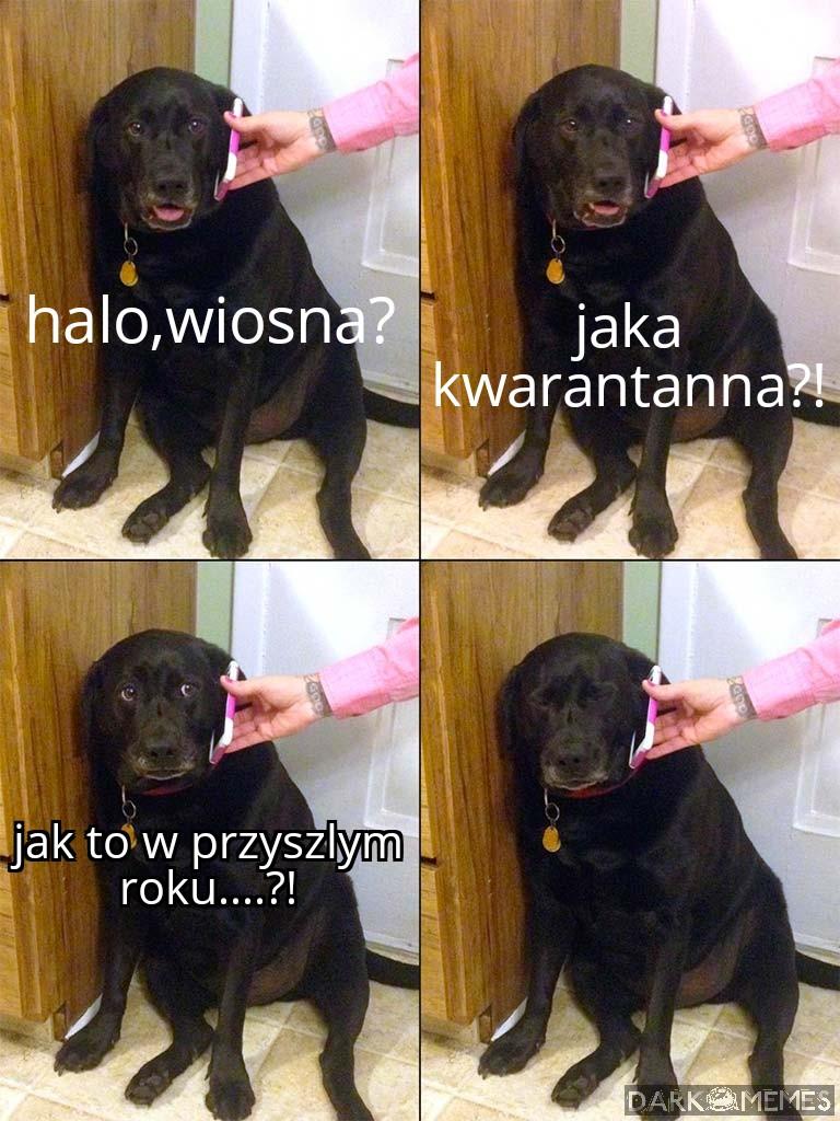 Wiosna