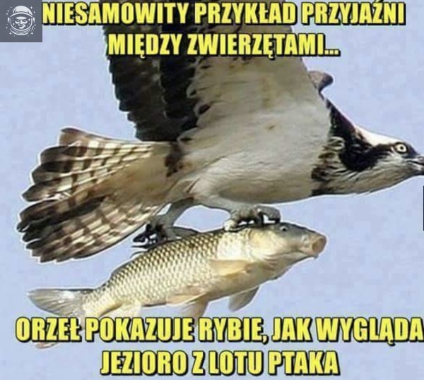 łutyT