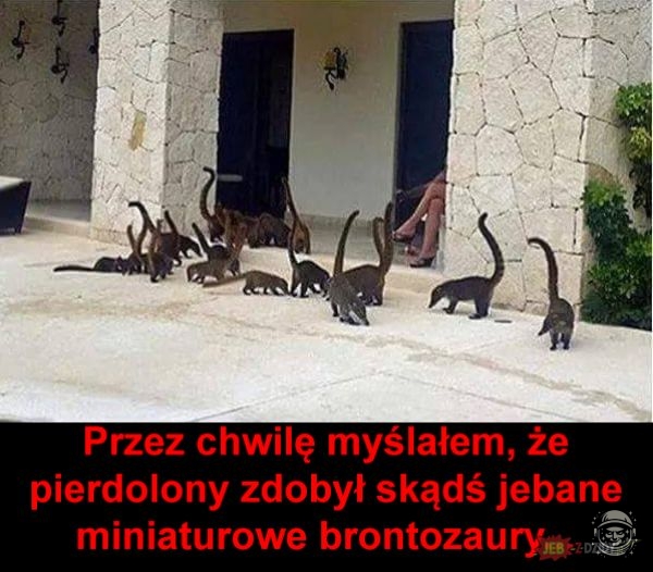 Z wiekiem zanika wiedza o dinozaurach xd