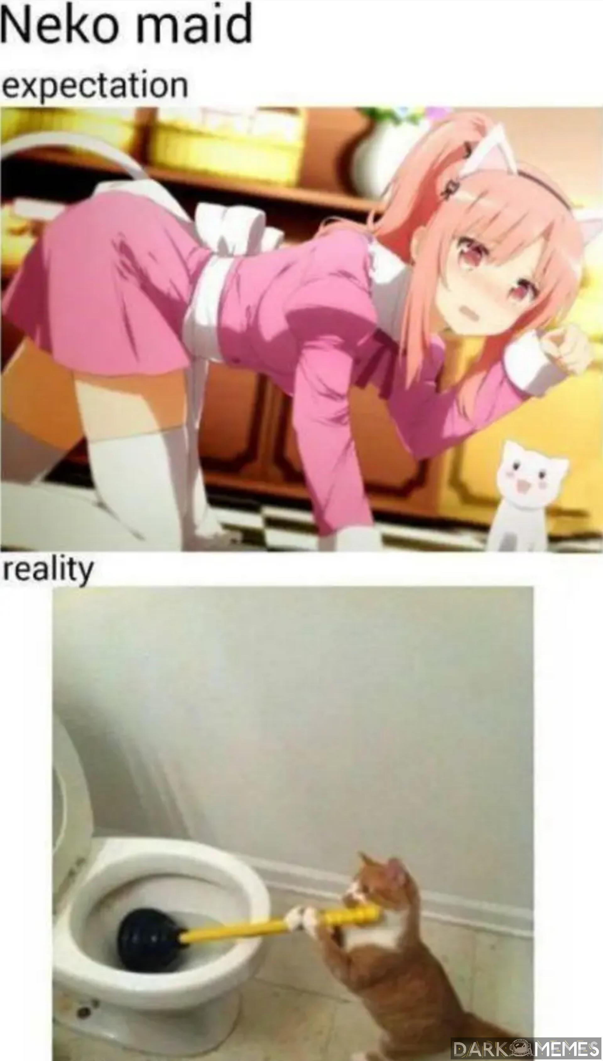 Kocia pokojóweczka :3