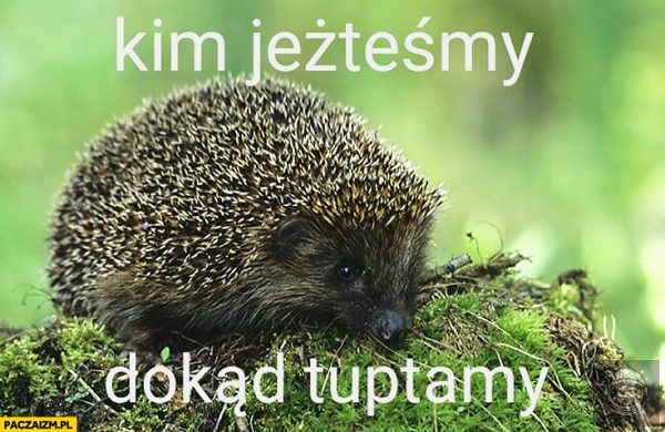 Mam kryzys.