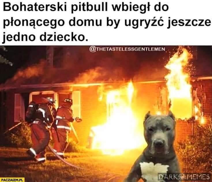 Pieseł