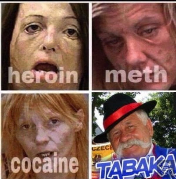 jest gitówa