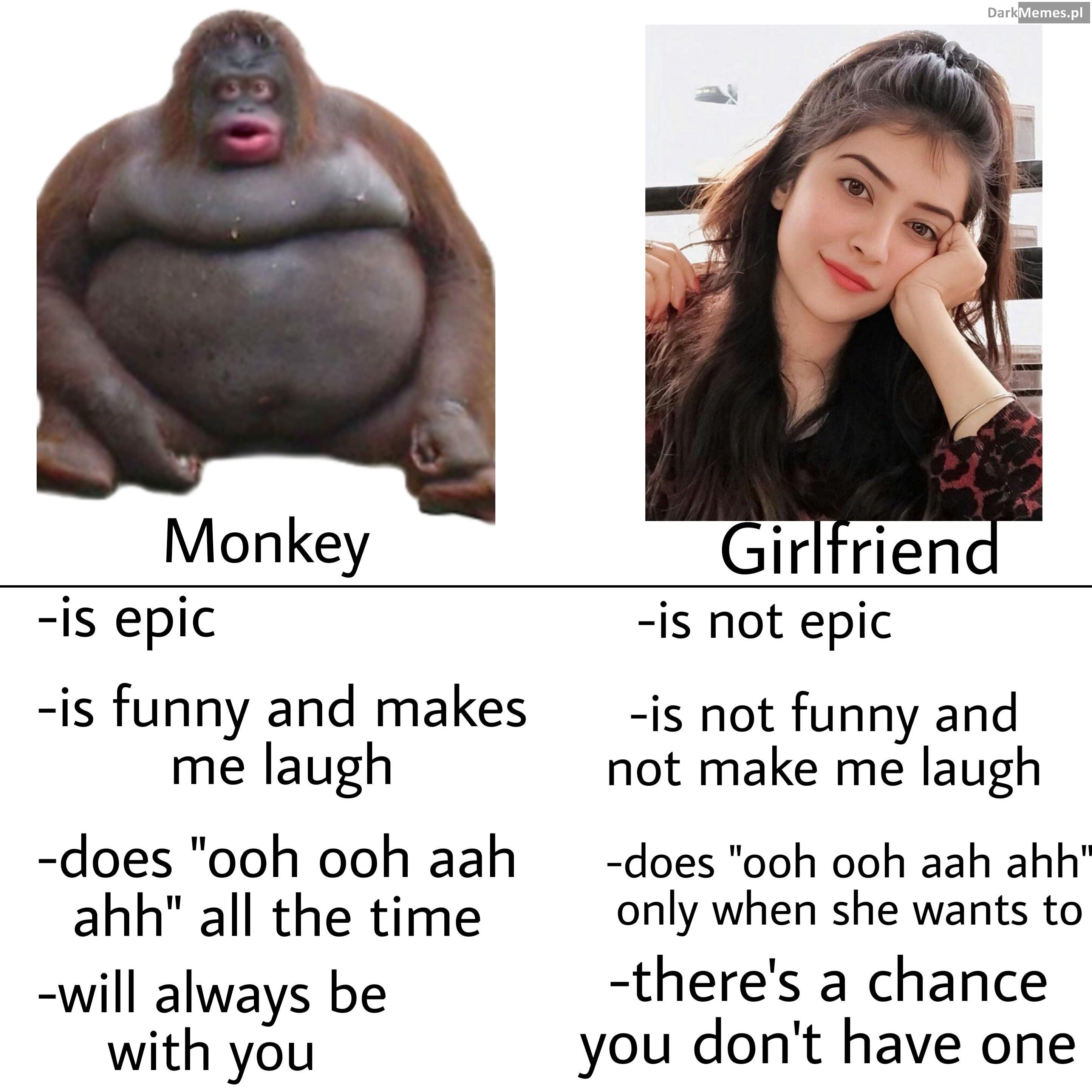 return to monke