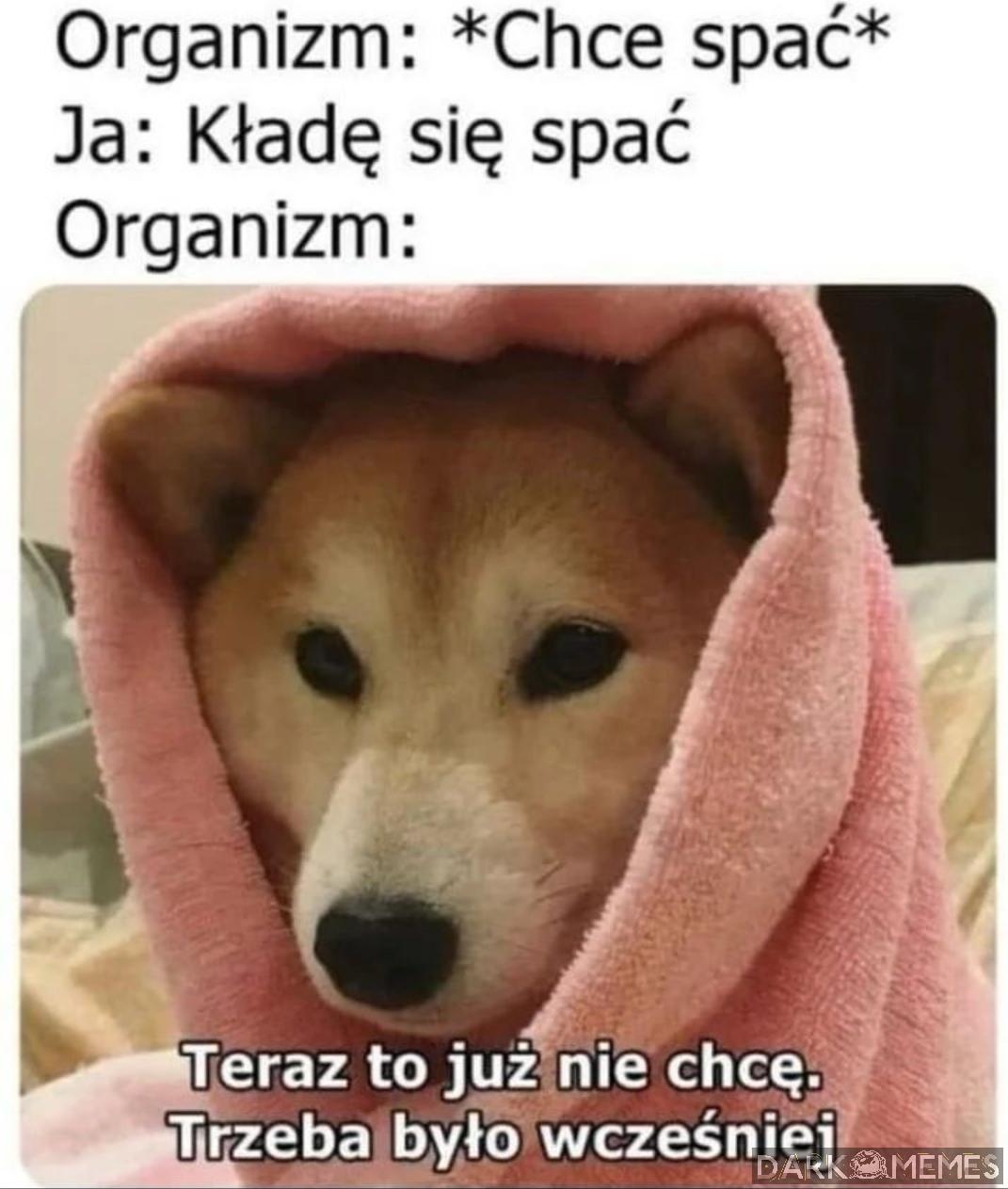 Spanko