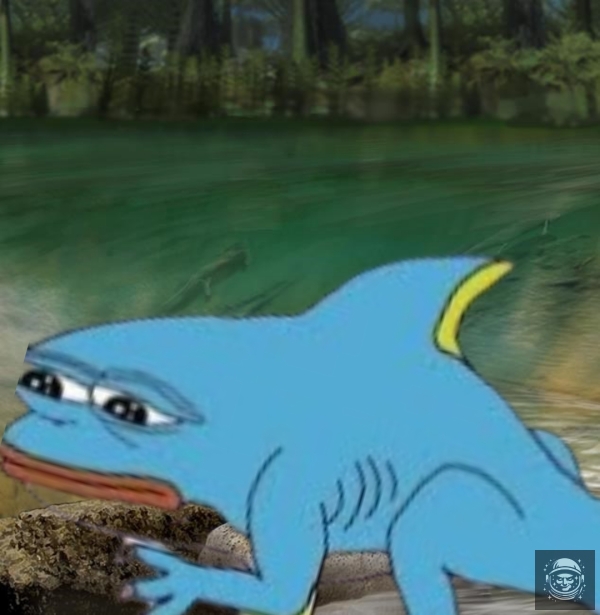No i po co wychodziłeś z wody?