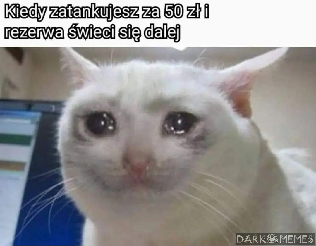 #227558225