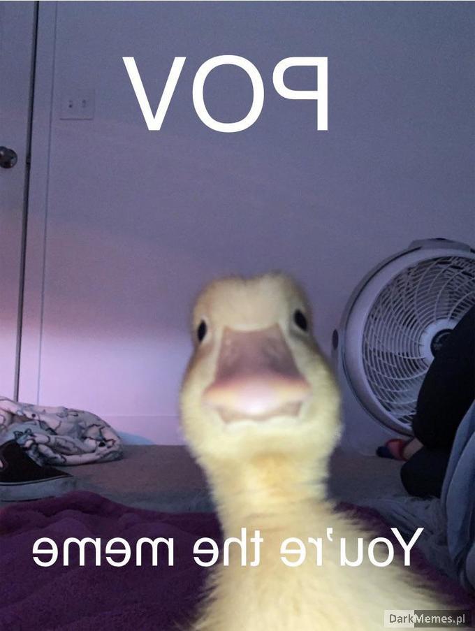 pov