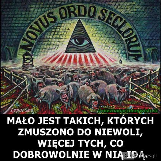 Nwo