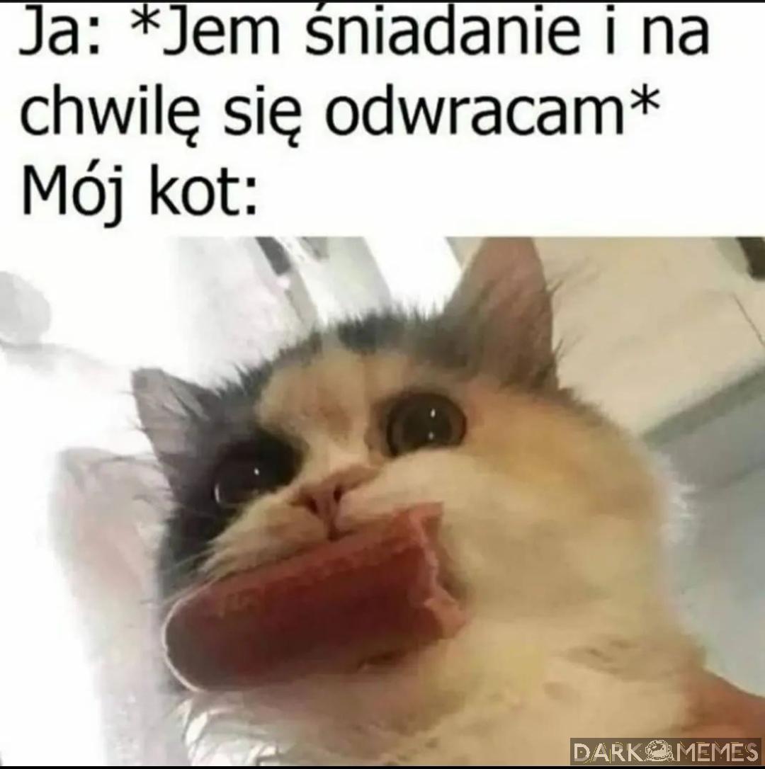 #577279961