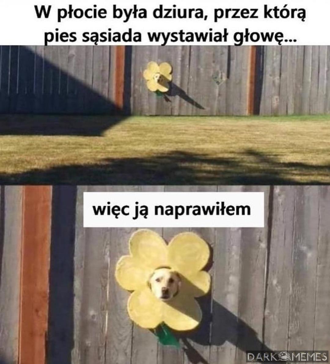 #975949122