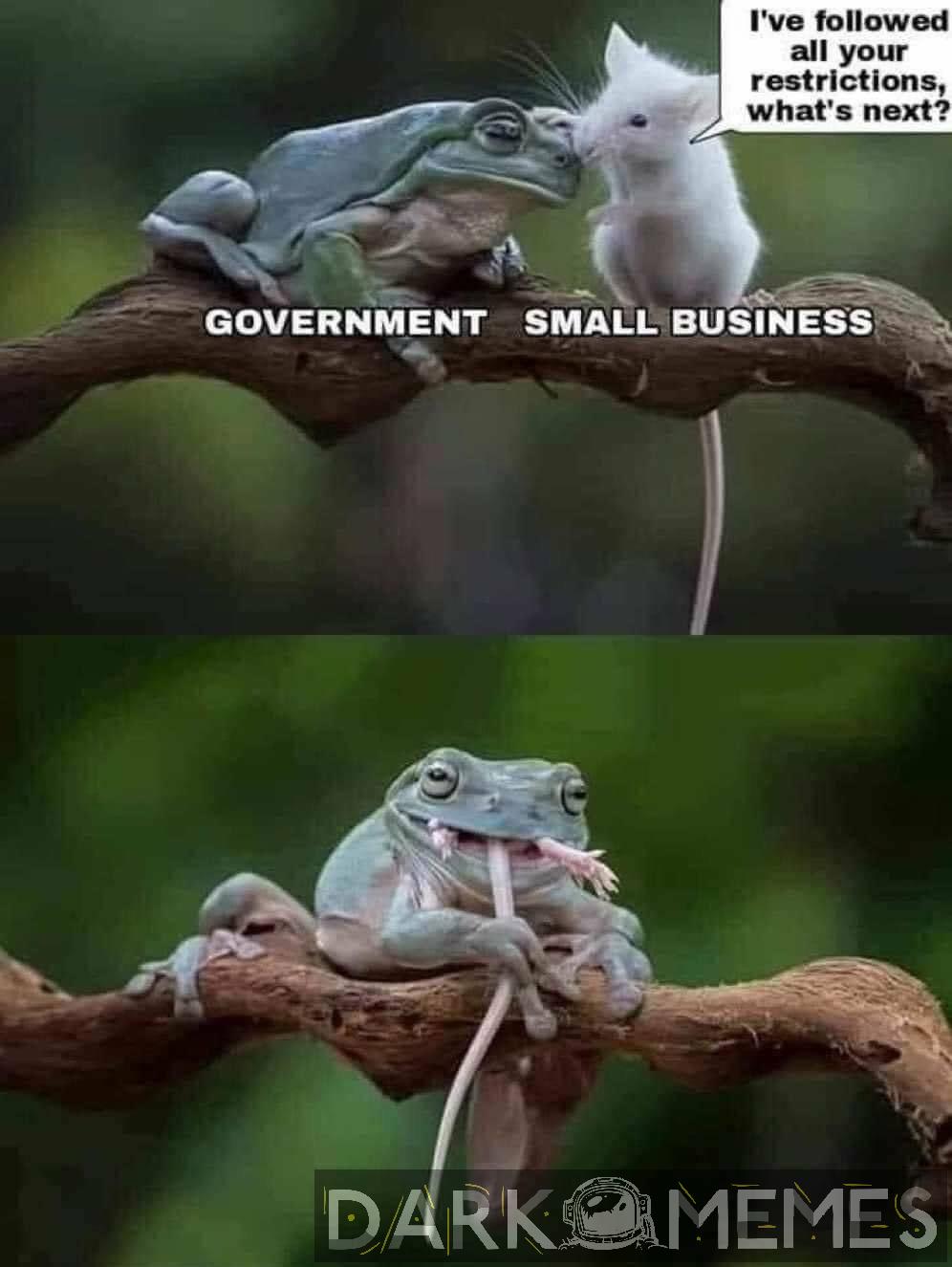 Taki właśnie jest plan
