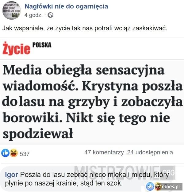 Kobita w szoku