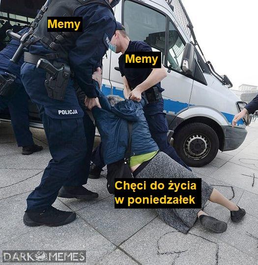 Memy
