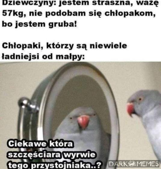 Chłopaki