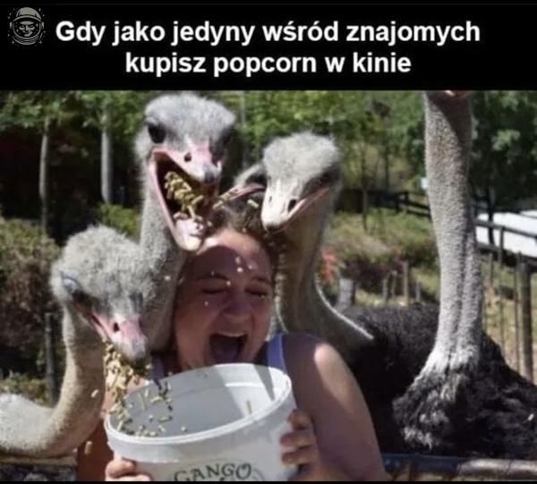 łutyT