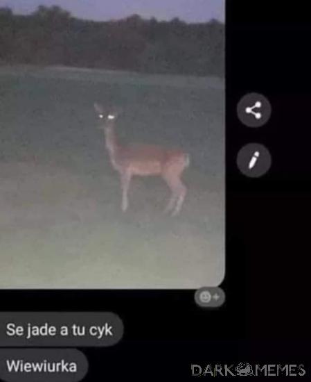 Cyk