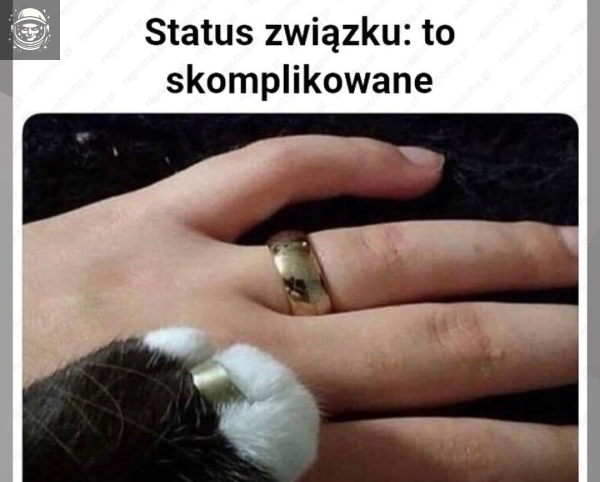 zwionsek