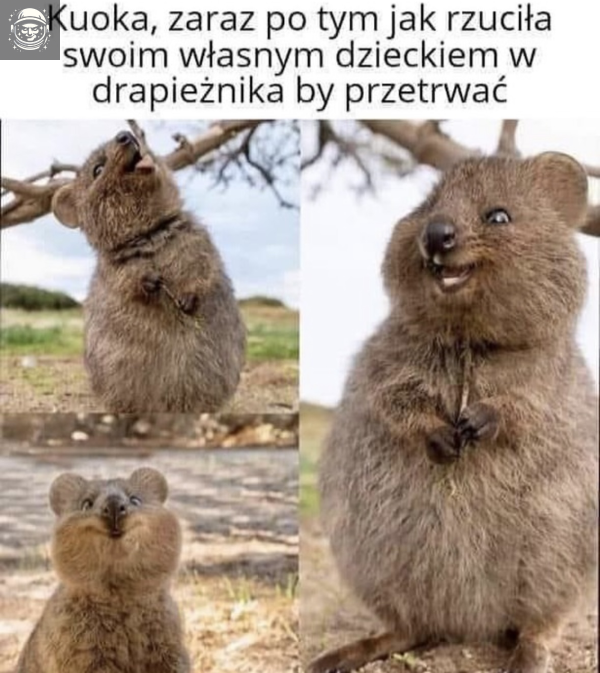 i jeszcze się z tego cieszy!