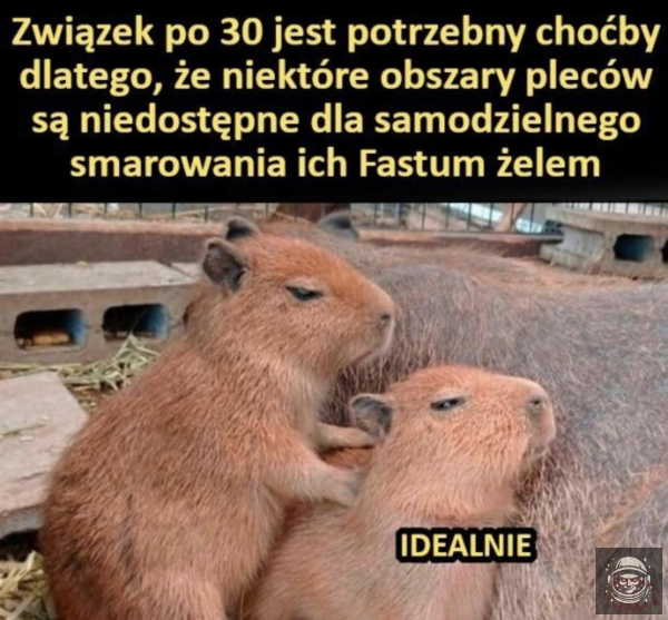 żadna tam przygoda czy zaufanie