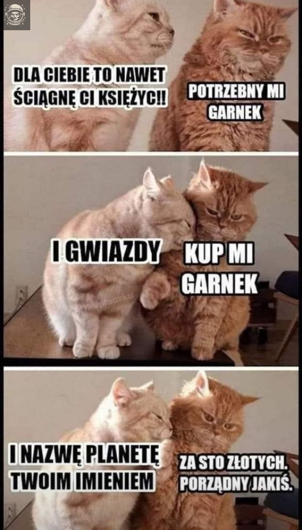 koteły