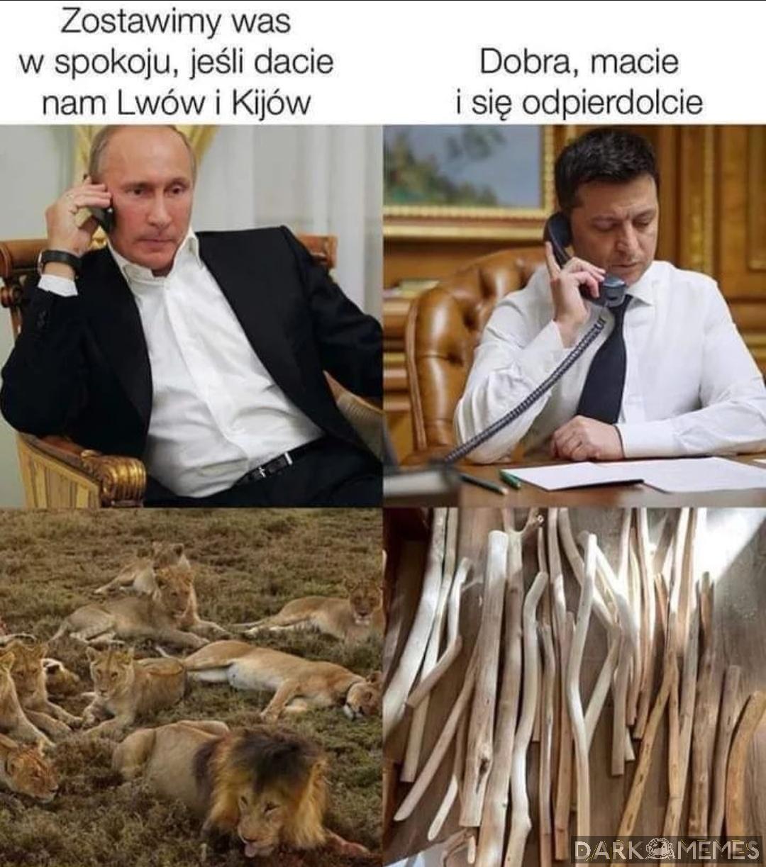 #303646799
