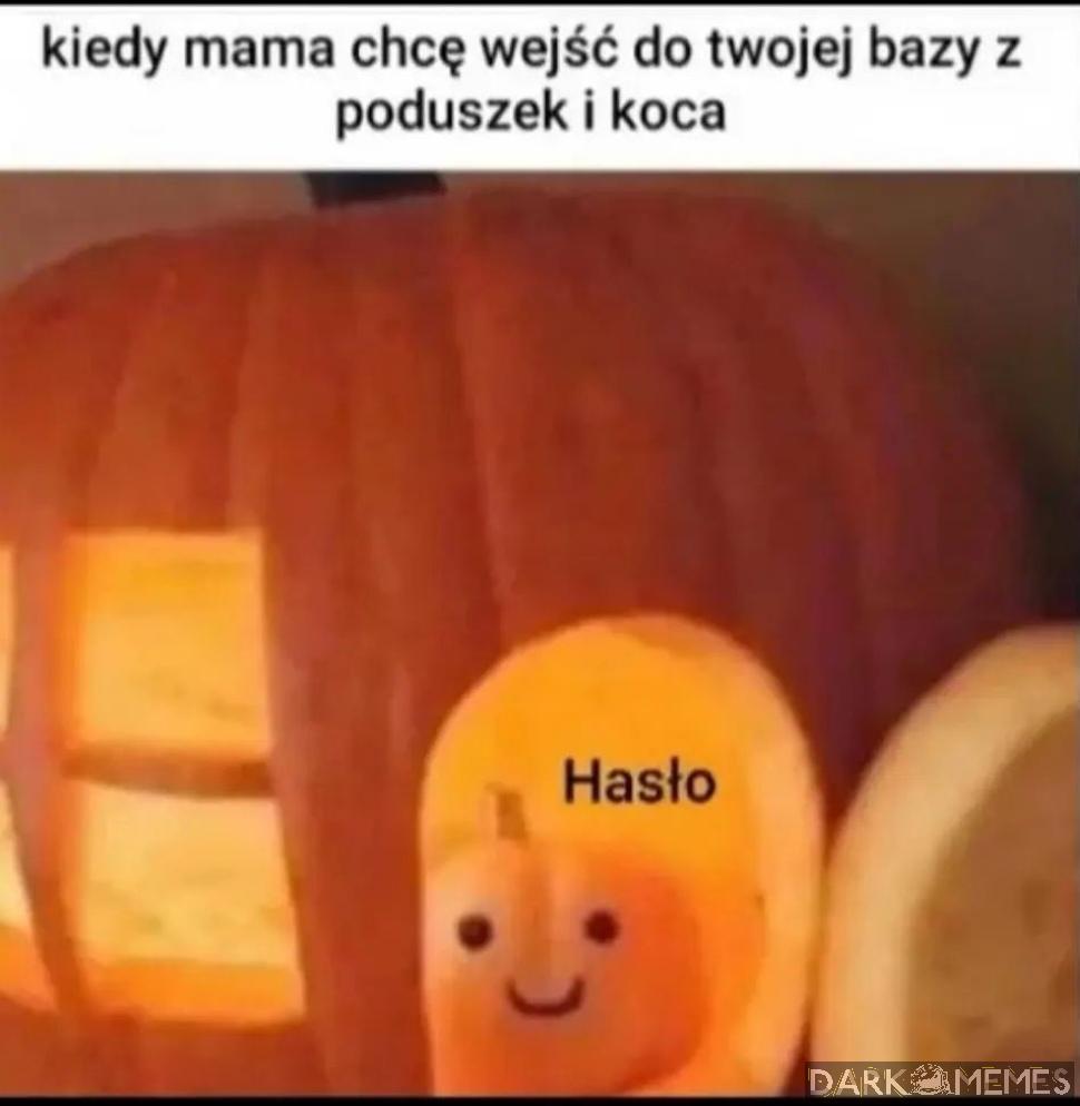 #1139780749