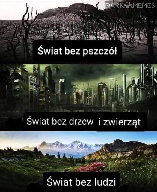 świat