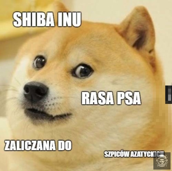 Elo