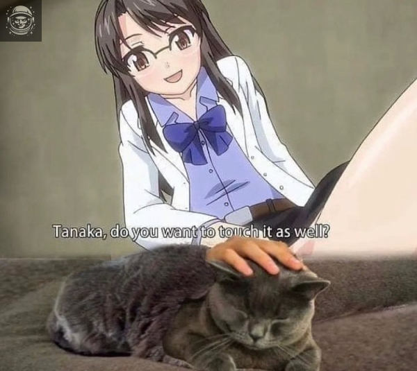 Pussy