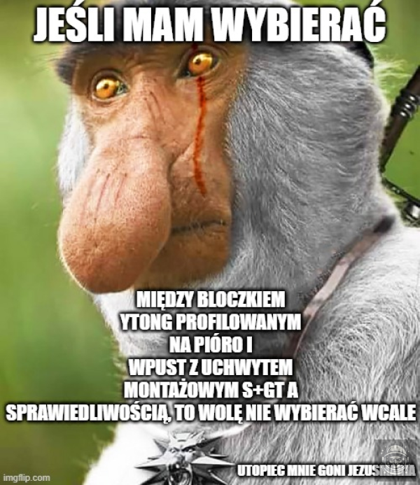 cytaty wiedźmina z szkoły gęsi