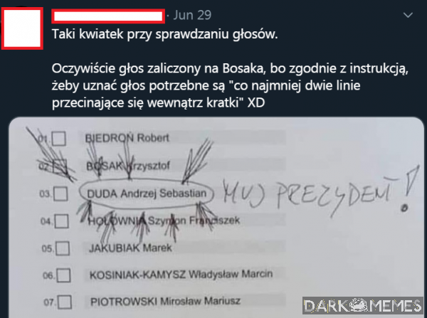 Zaraz wybory xd