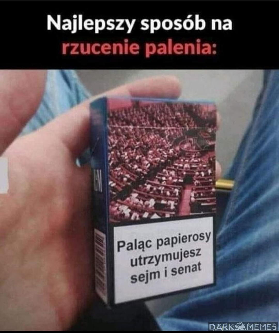 W sumie, czemu by nie? 