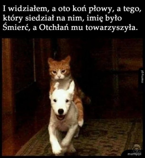 Pozdrawiam KS XD