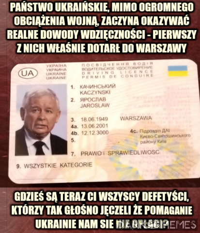 Drajwing lajsens
