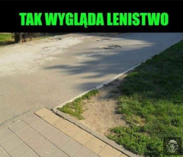 Skrót