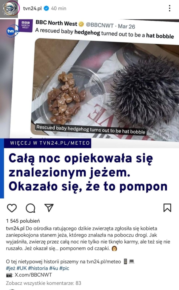 jeżyk