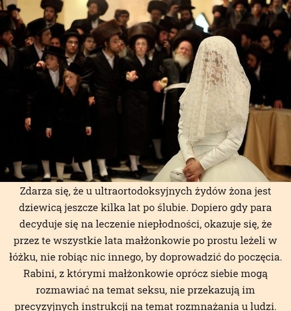 Rozmnażanie rzydof