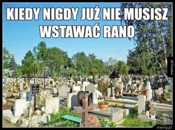 Elo