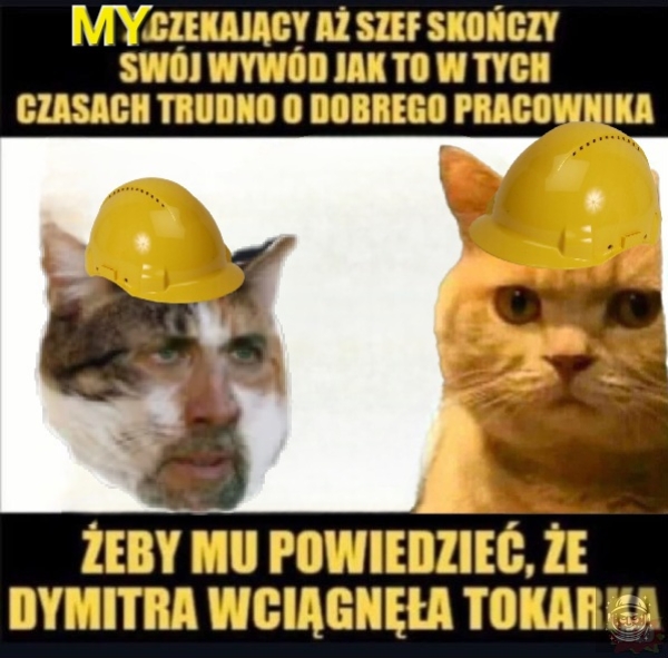 Się kurła porobiło panie kierowniku