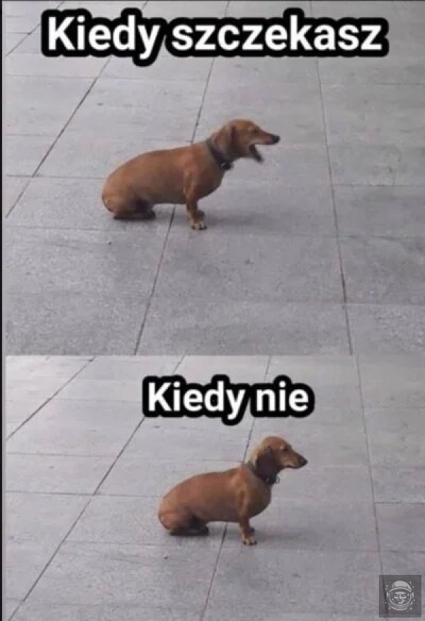 Elo