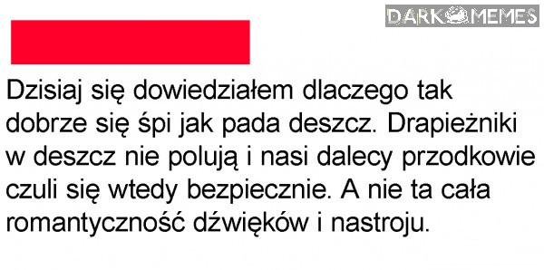 Ciekawostka